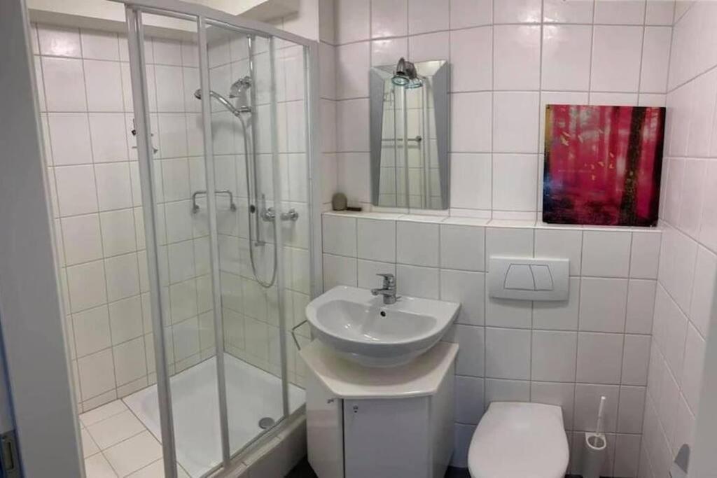 Basel - 5 Mins Away - Modern Basement Studio With Kitchen 35M2 In Muttenz Apartment Bagian luar foto